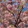 Jon Handel Photography / PICK A VERB / 1765