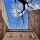 Jon Handel Photography / PICK A VERB / 1760